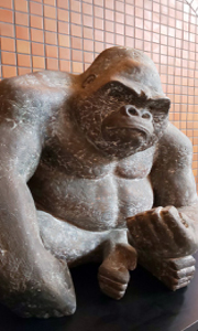 同部園のゴリラ